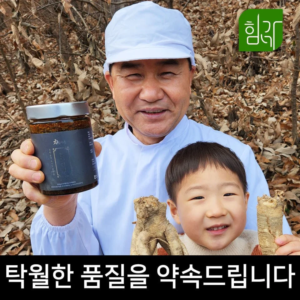 힘가네 배 도라지청 약도라지청 도라지 진액 국산 650g