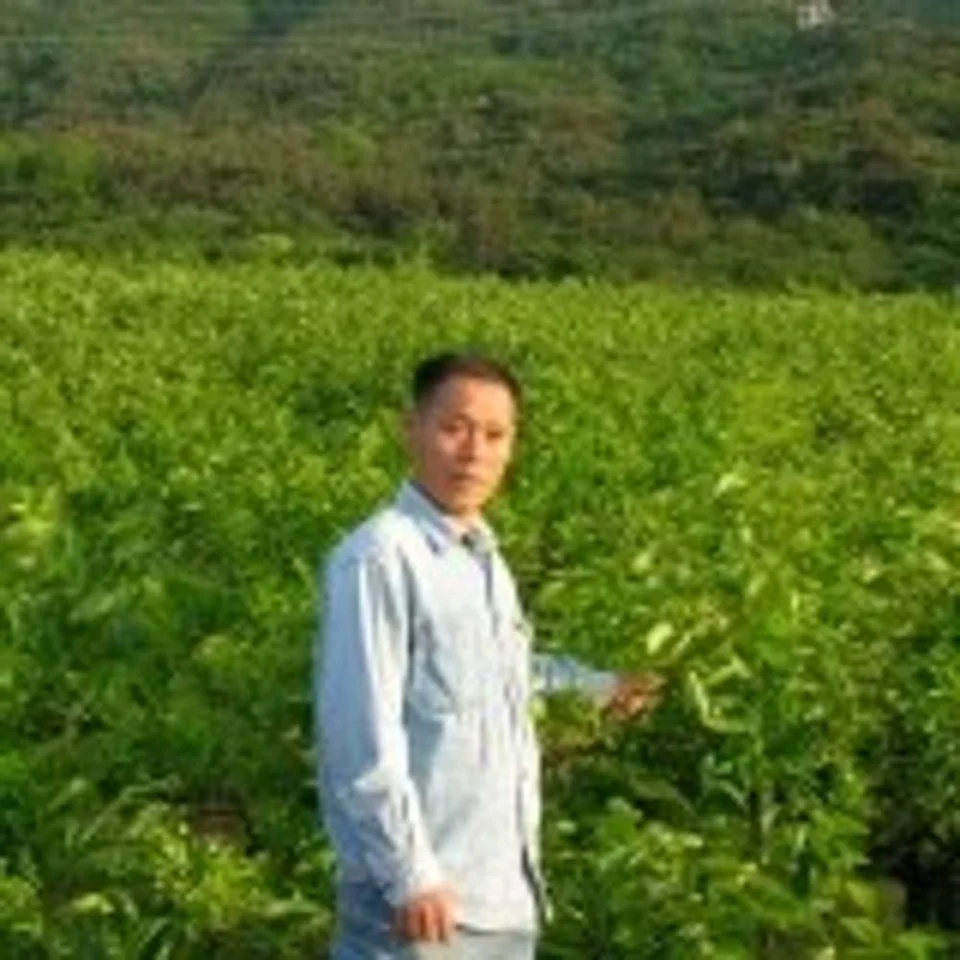 태추단감 햇 단감 진영 배 부유 배감 대추 태주 배단감 시골농원